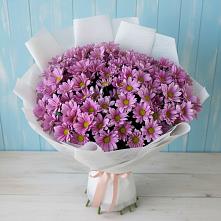 Букет цветов из:  Хризантемы в Пелым