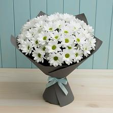 Букет цветов из:  Хризантемы в Пелым