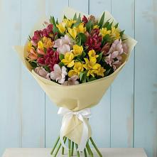 Букет цветов из:  Альстромерии в Пелым