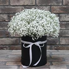 Цветочная композиция из Гипсофила в шляпной коробке #REPLACE_PRED# Пелым