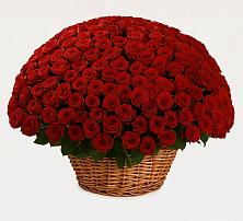 Премиум букет из: Розы в Пелым